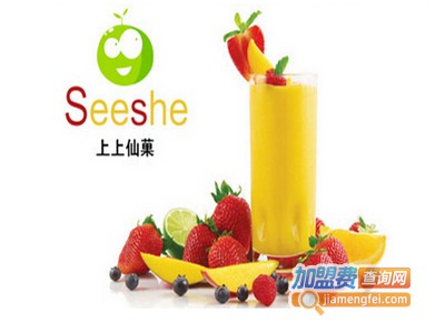 上上仙菓饮品加盟费