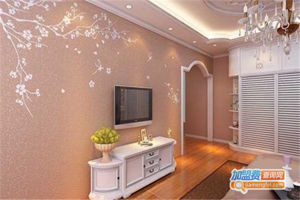 壁彩硅藻泥加盟费