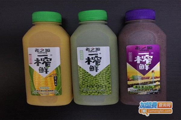 一榨鲜饮品加盟门店