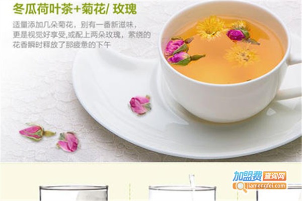 贝婷绿色减肥加盟费