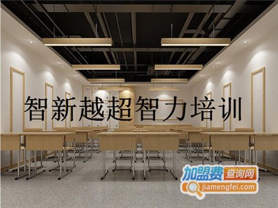 智新越超智力培训加盟费