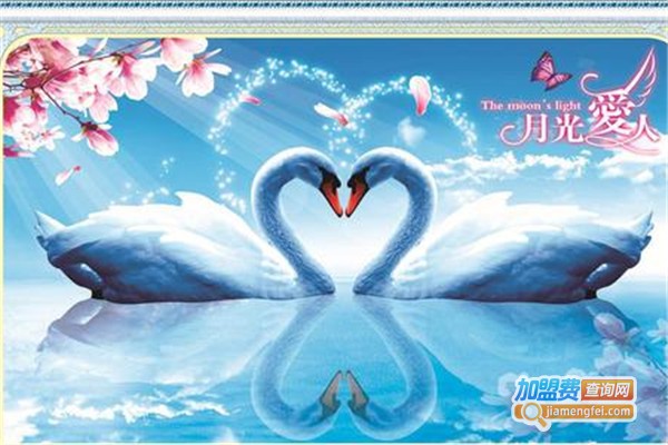 朵盈钻石画加盟费