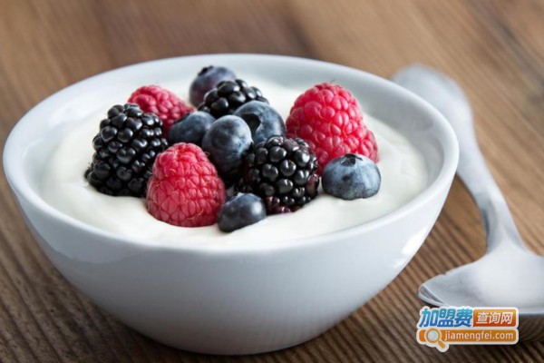 每汁每味现酿酸奶吧加盟费