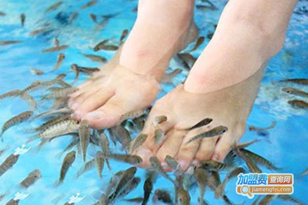 小魔鬼鱼足疗加盟费