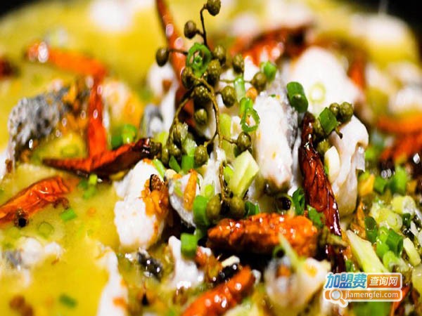 岳记斑鱼锅火锅加盟费