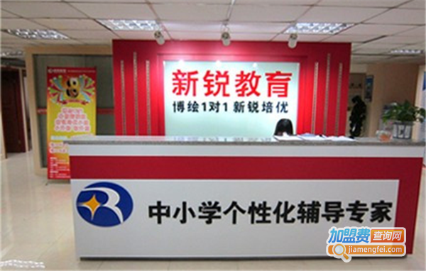 新锐教育加盟费