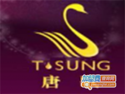 唐歌国际美容养生加盟费