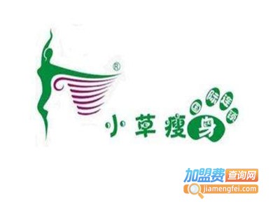 小草纤体美容加盟费