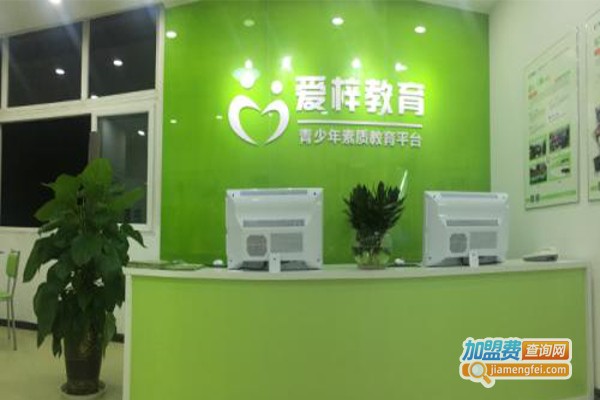 爱梓托管加盟费