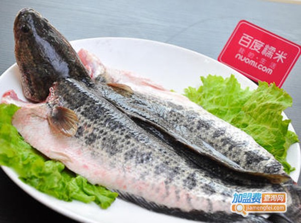 鱼主义火锅加盟费