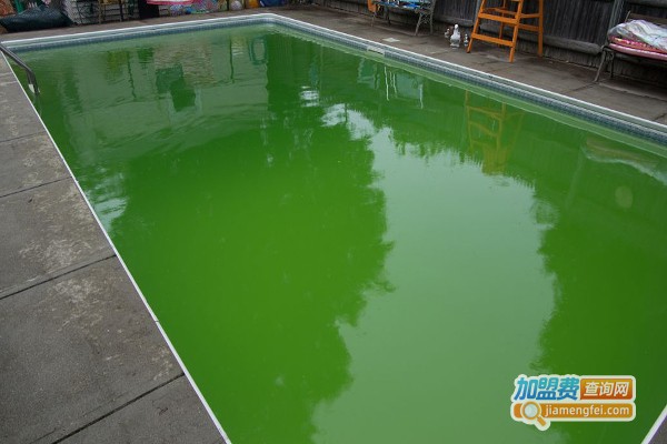 鸿润豪涂料加盟费