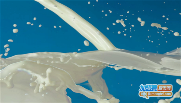鲜味来牛乳加盟费