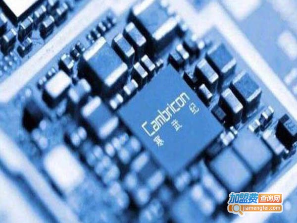 寒武纪教育加盟费