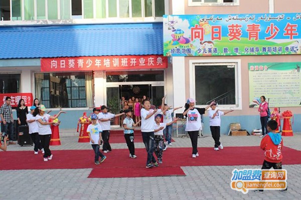 向日葵教育加盟费