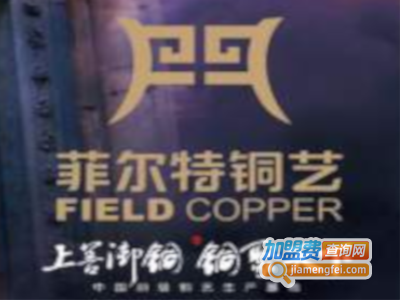 菲尔特铜门加盟