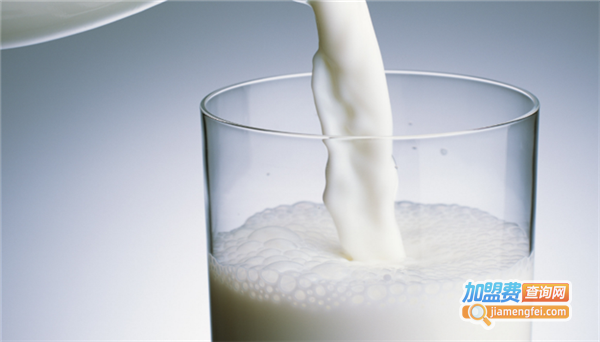 鲜味来牛乳加盟费