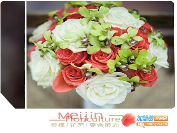 美槿美容加盟费