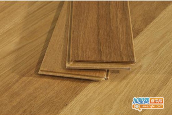 圣象康树加盟费