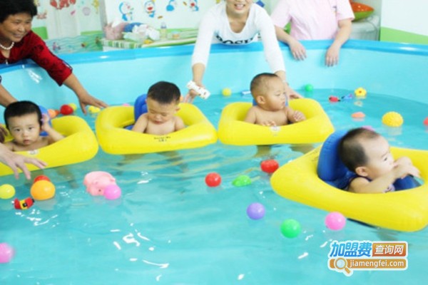 宝迪蓝国际婴儿游泳加盟店