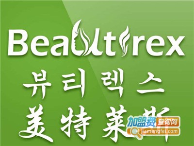 美特莱斯汽车美容加盟费