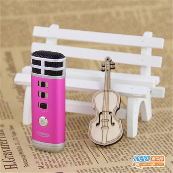 天籁掌上ktv加盟费