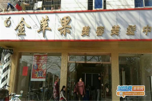 金苹果美容加盟费