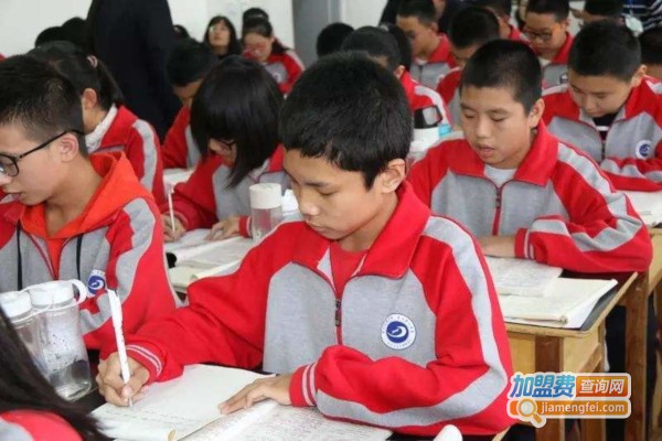 百博教育加盟费