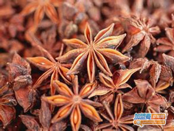 桃花源调味品加盟费