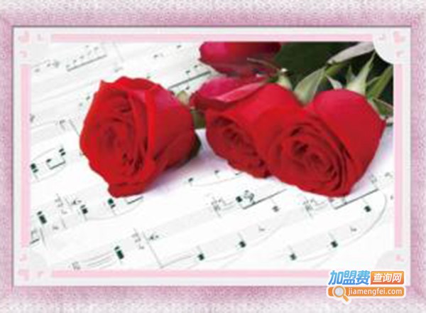 千思梦妍加盟费