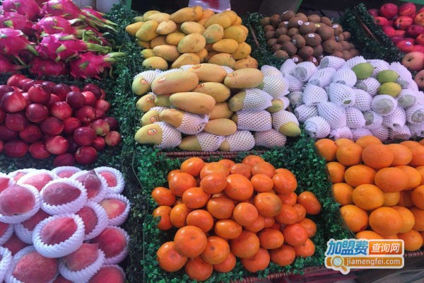 妙鲜果园加盟费