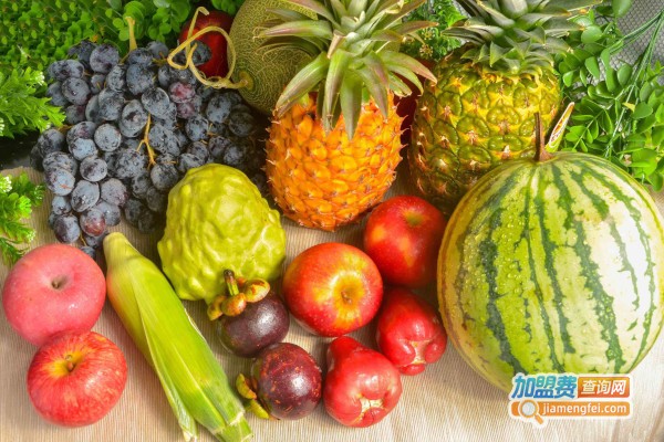 妙鲜果园加盟费