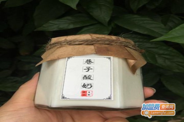 巷子酸奶加盟费