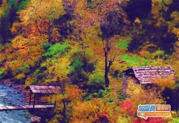 吴远美术教育加盟费