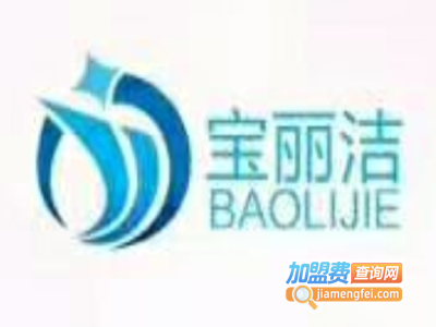 宝丽洁汽车饰品