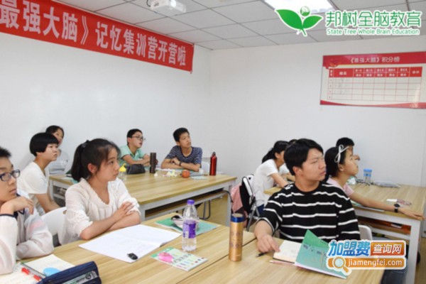 邦树全脑教育加盟费