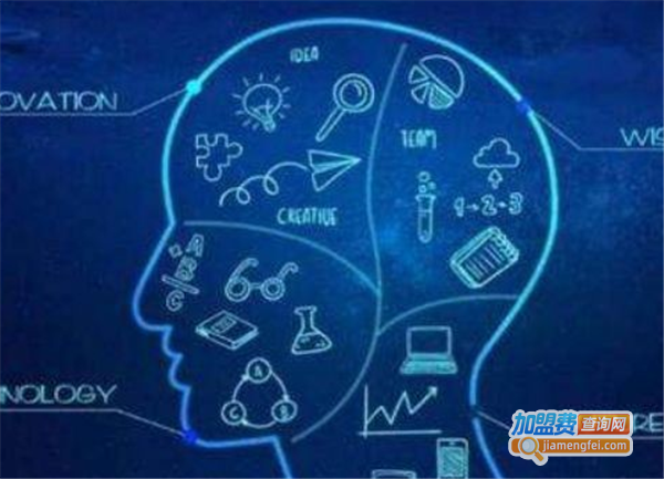 睿潼全脑开发加盟费