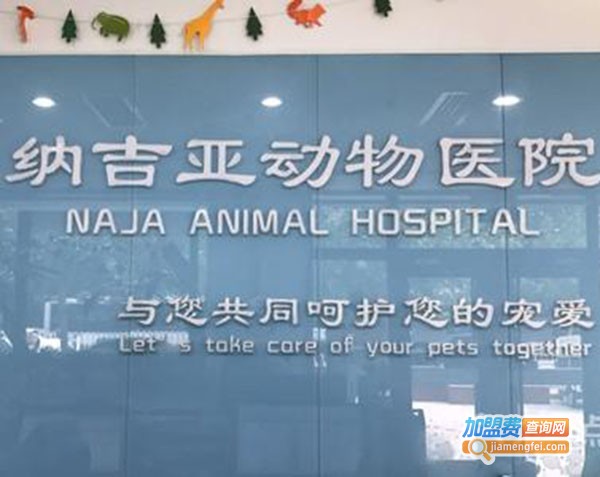 纳吉亚动物诊所加盟费