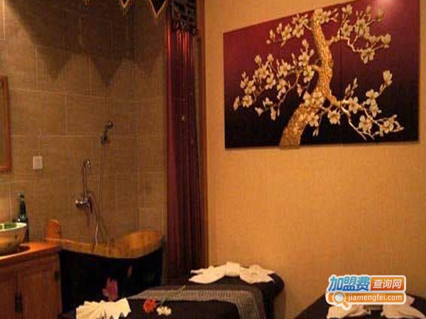 净之雅美容加盟费