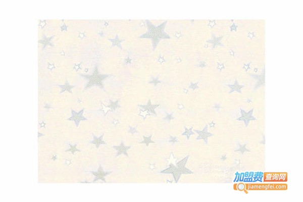 三一阳光集成墙顶加盟门店