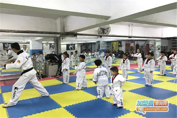 天一跆拳道馆加盟费