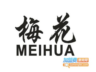 梅花调味品加盟