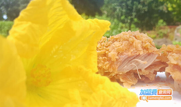 红辣椒餐厅加盟费