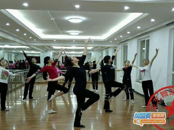 宋艺舞蹈工作室加盟费