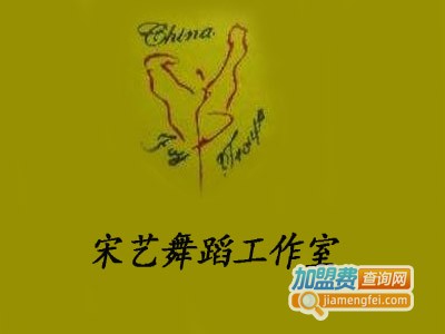 宋艺舞蹈工作室加盟费