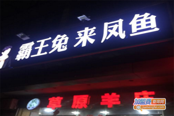 霸王兔来凤鱼