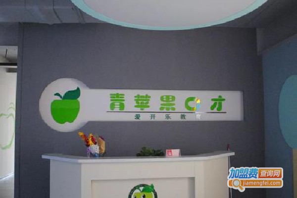 青苹果教育加盟费