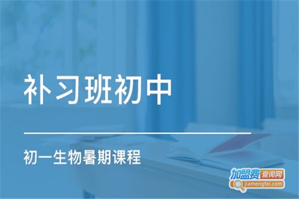 课外课教育加盟费