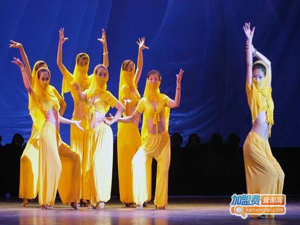 宋艺舞蹈工作室加盟费