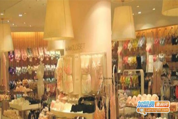 棉文化内衣加盟费