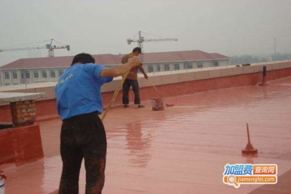 建王涂料加盟费